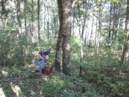 15_waldwandertag_1c_2011