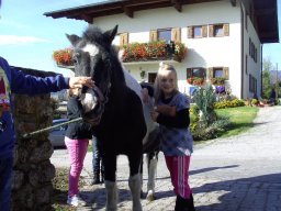 13_projekt_bauernhof_2b_2011