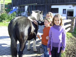 14_projekt_bauernhof_2b_2011