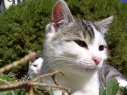 16_projekt_bauernhof_2b_2011