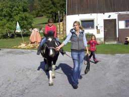 17_projekt_bauernhof_2b_2011