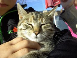 07_wandertag_bauernregelweg_2b_2011