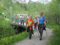 Nordic Walking