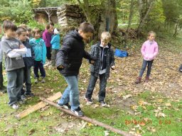 03_waldwandertag_3c_2011