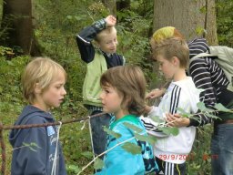 06_waldwandertag_3c_2011