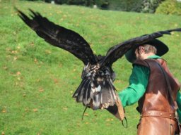 08_wandertag_burg_hohenwerfen_4c_2011