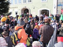 35_fasching_2012