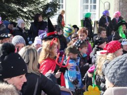 46_fasching_2012