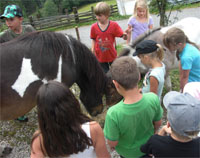 Projekt Bauernhof (Juni 2012)