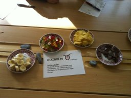 13_sinnesorgane