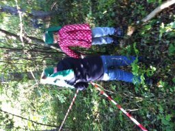05_waldtag