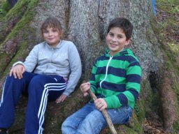 14_lammertaler_urwald