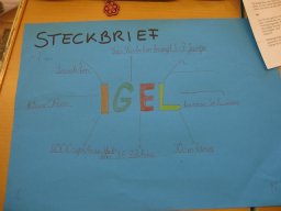 13_igel