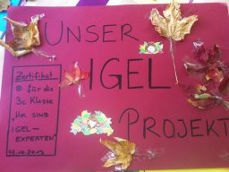 49_igel