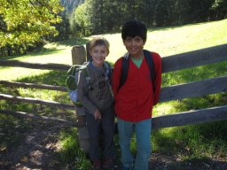 05_lammertaler_urwald