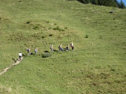 07_lammertaler_urwald