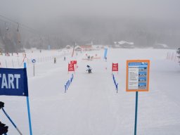 111_auva_schitag