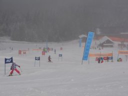 88_auva_schitag