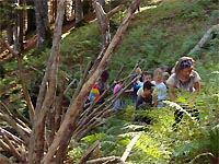 Wandertag Lammertaler Urwald