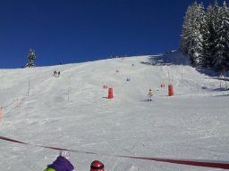 03_bezirkalpin