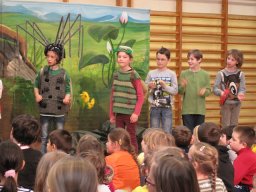 39_kaefer_und_co