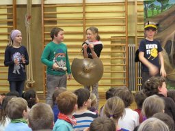40_kaefer_und_co