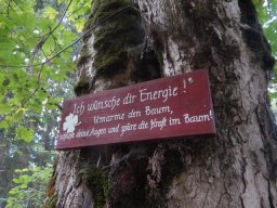 11_wandertag