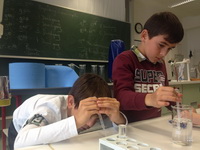 Science Center Workshop im Pierre de Coubertin Gymnasium Radstadt (4b)