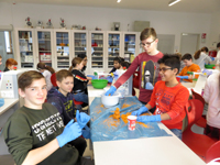 Sprachförderung mit Experimenten (1d, MMS Radstadt)