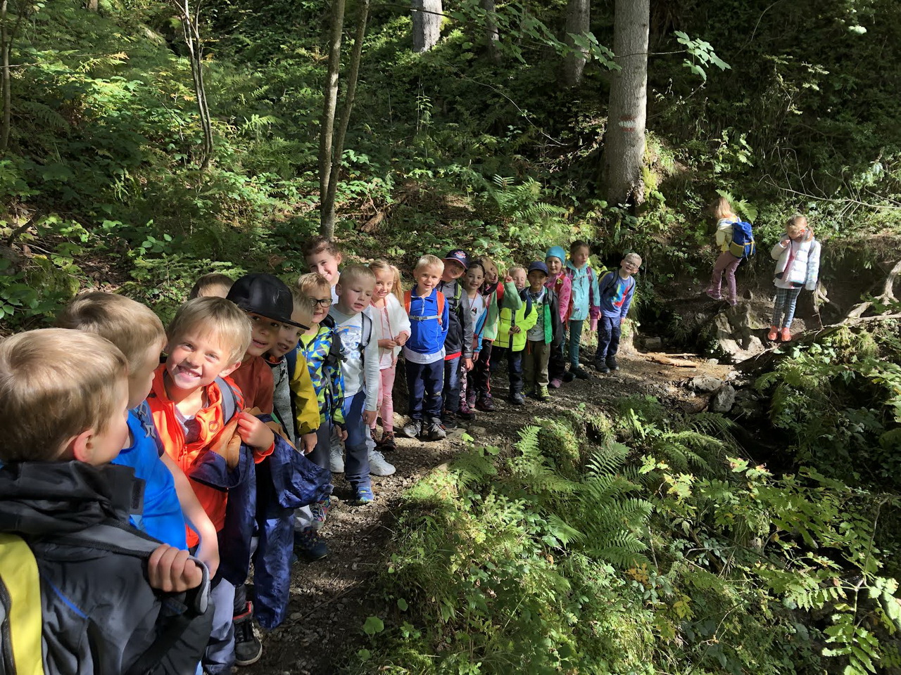 Wanderung Bürgerbergalm (1.Kl.)