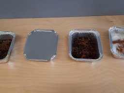 01_fruehling