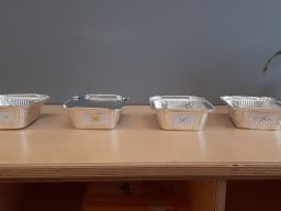 03_fruehling