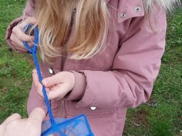 05_fruehling