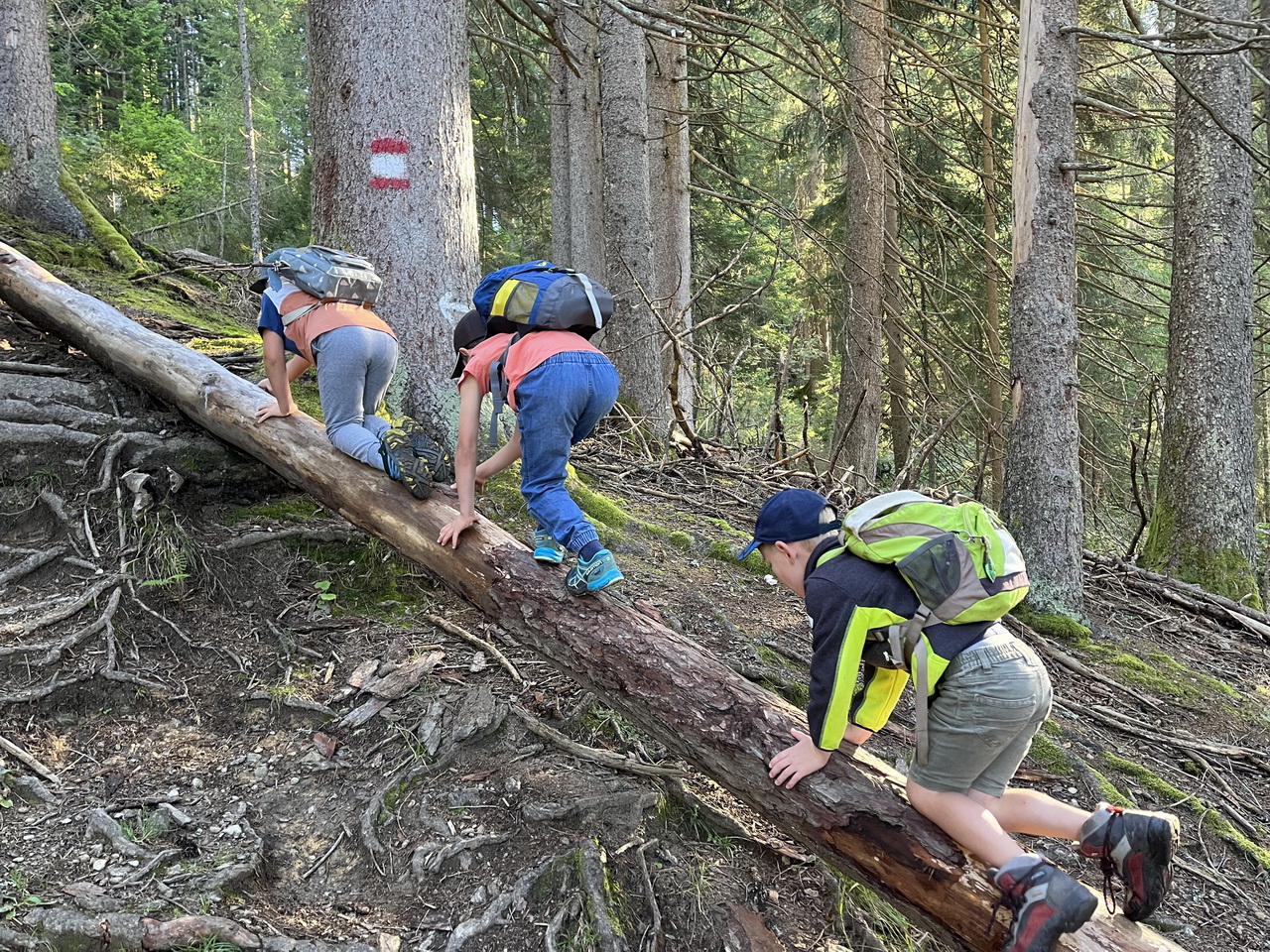 Wandertag Bürgerbergalm(1.Kl.)