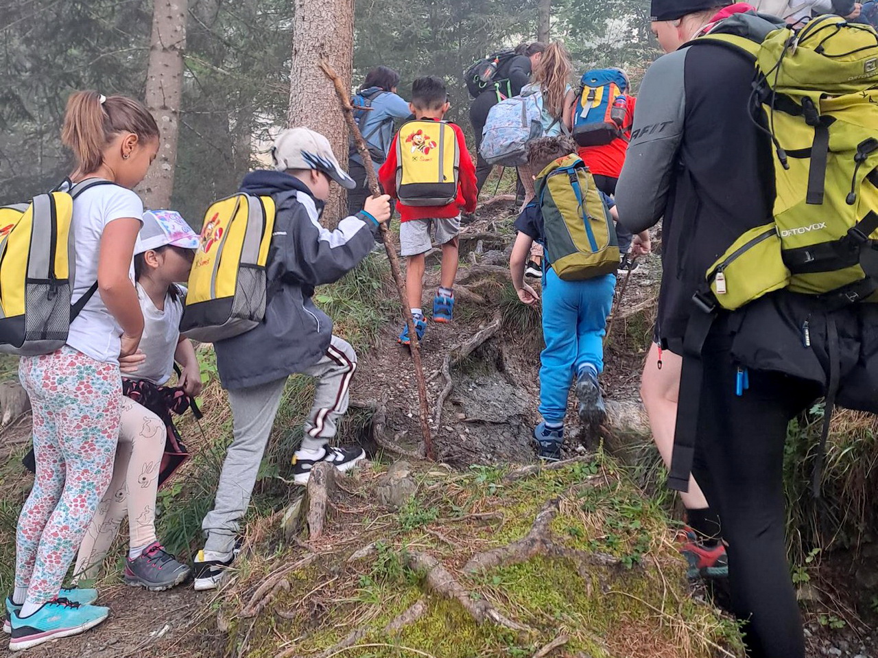 Sumsi erkundet die Bergwelt (1.Kl.)