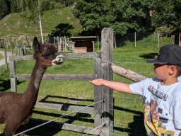 06_wildpark