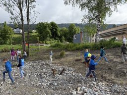 11_ennsregulierung