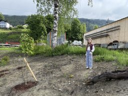 16_ennsregulierung