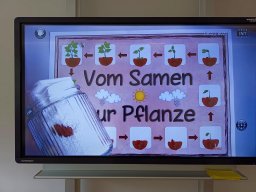 02_bohnenprojekt