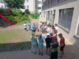 16_bohnenprojekt