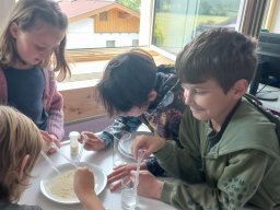 3a, 3b - Science Day im BORG