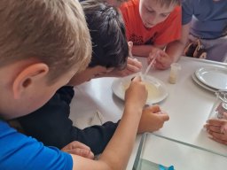 15_science_day