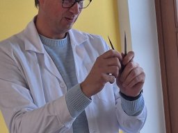 21_entdeckerecke_schlangen