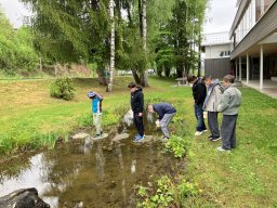 14_laich_zum_frosch