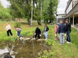 19_laich_zum_frosch