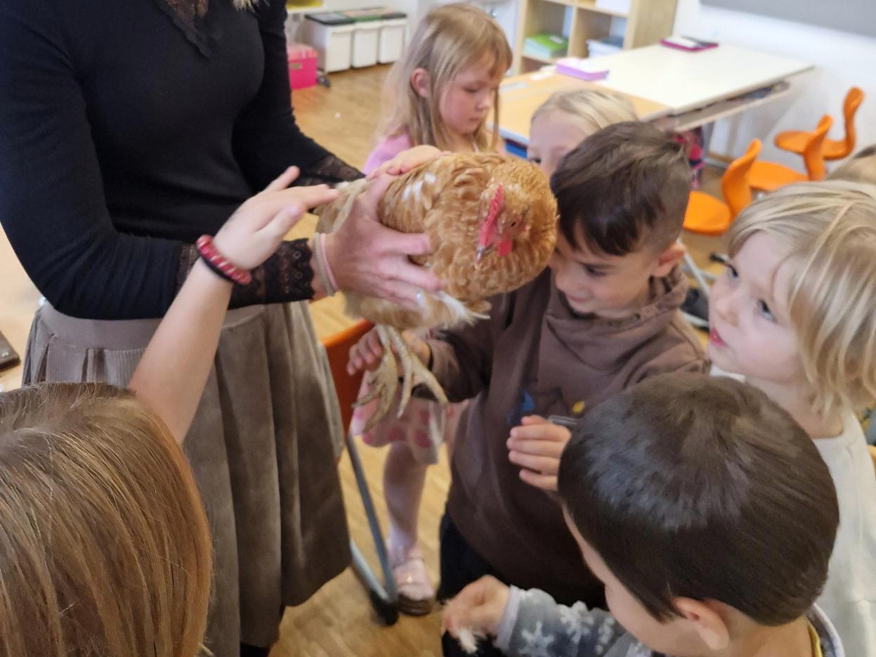 ei und huhn